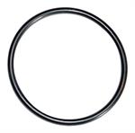 Jar o-ring for Mueller washer