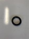 Shaft seal for RBS-35 Robuschi pump