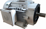 3 HP Techtop Washdown motor, 1800 RPM,